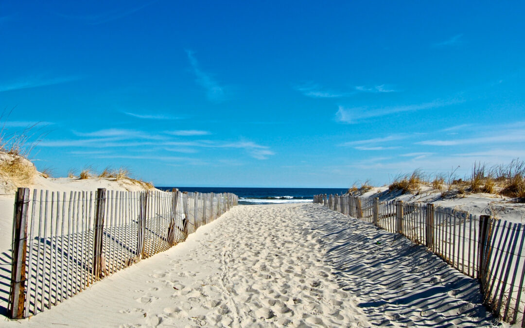 SHORE BETS FOR GREAT EATS – Beach Haven, LBI