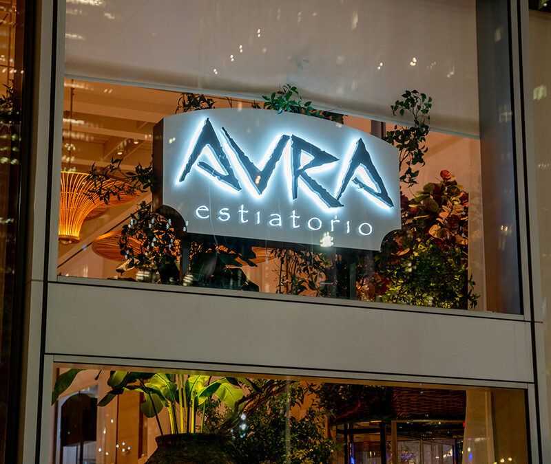 IN THE BIG CITY – Avra Rockefeller Center